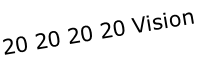20 20 20 20 Vision 
